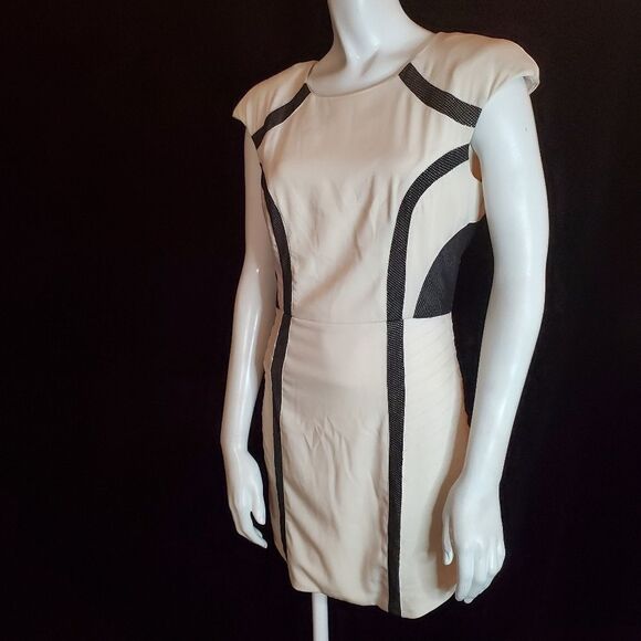 Cameo Cream & Black Netting Accent Dress (M) - Picture 1 of 5